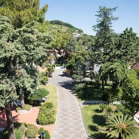 Internazionale 3*